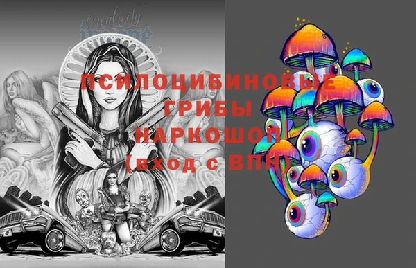 гидра Алексин
