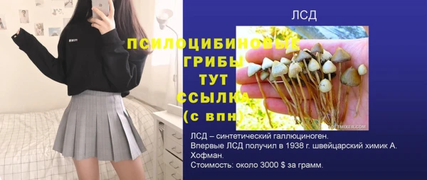 ECSTASY Алзамай