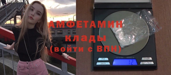 ECSTASY Алзамай