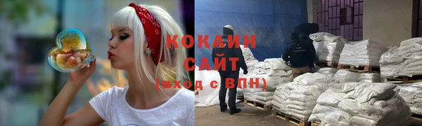 шишки Алексеевка