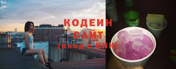 ECSTASY Алзамай