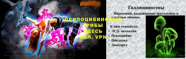 шишки Алексеевка