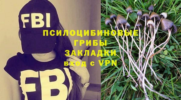 ECSTASY Алзамай
