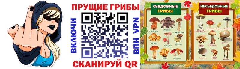 Псилоцибиновые грибы MAGIC MUSHROOMS  MEGA рабочий сайт  Невьянск 